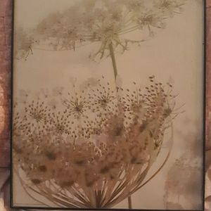 Framed dandelion art